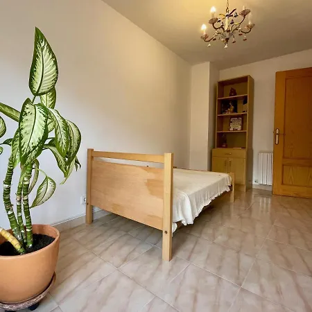 Ca Blai De Brull En El Centro De Homestay