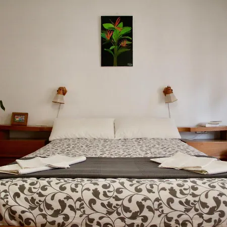 Ca Blai De Brull En El Centro De Homestay